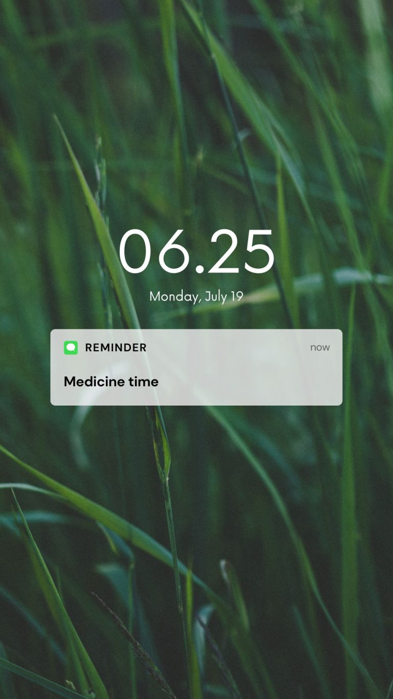 On iPhone, how to enable or disable time-sensitive notifications